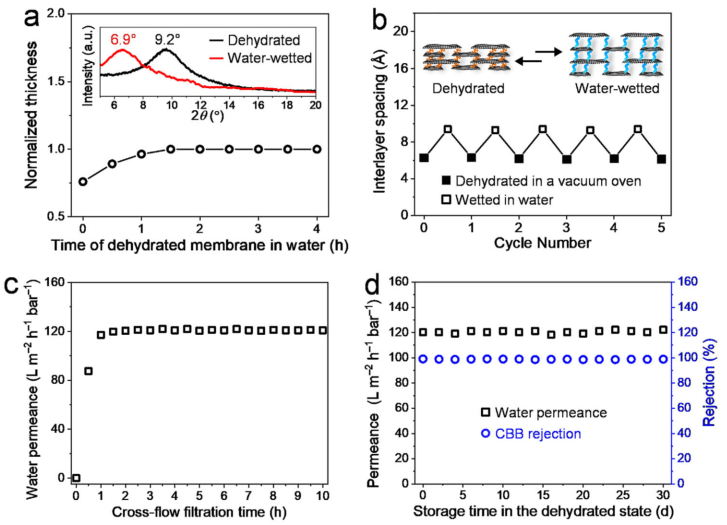 苏州大学靳健教授团队AFM：亚埃级精度石墨烯氧化物膜，实现高选择性分子筛分