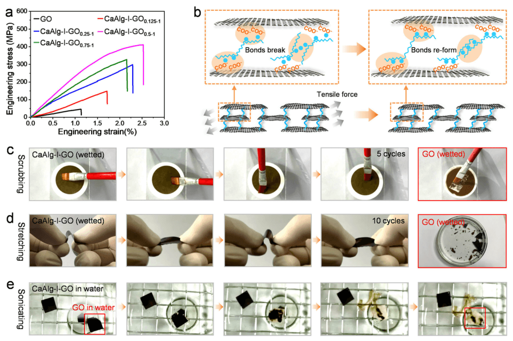 苏州大学靳健教授团队AFM：亚埃级精度石墨烯氧化物膜，实现高选择性分子筛分