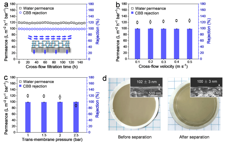 苏州大学靳健教授团队AFM：亚埃级精度石墨烯氧化物膜，实现高选择性分子筛分