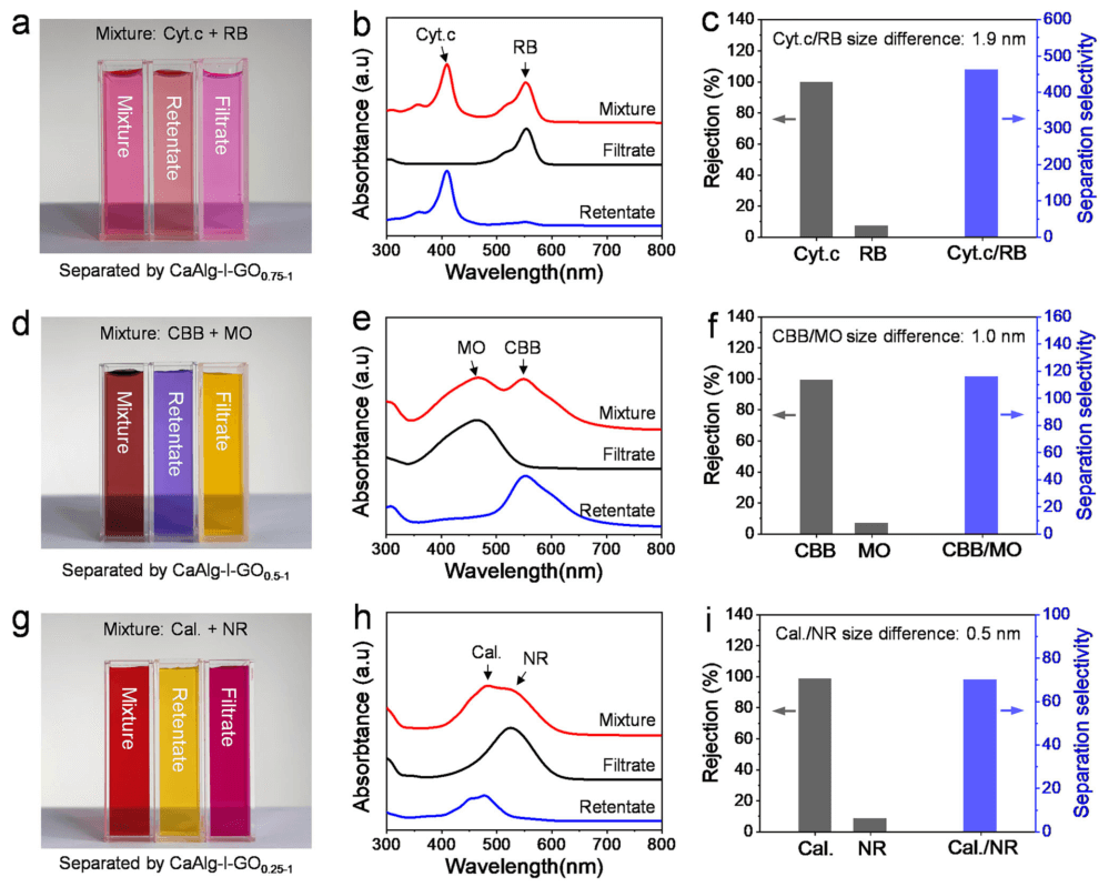 苏州大学靳健教授团队AFM：亚埃级精度石墨烯氧化物膜，实现高选择性分子筛分