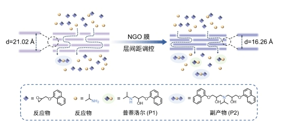 仿生膜催化：助力心血管药物合成“提速” | 科技前线