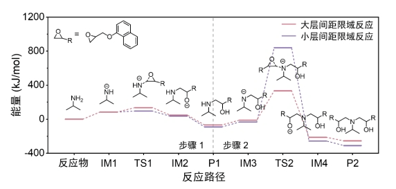 仿生膜催化：助力心血管药物合成“提速” | 科技前线