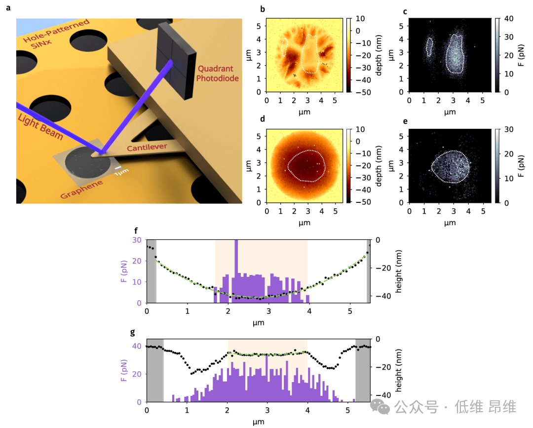 苏黎世联邦理工学院Nat Commun：悬浮石墨烯上的强排斥性Lifshitz-vdW力