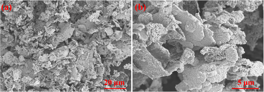 四川大学冯可芹与重庆大学周虹伶团队——熔渗法制备石墨烯增强W-Mo-Cu复合材料研究 | MDPI Materials