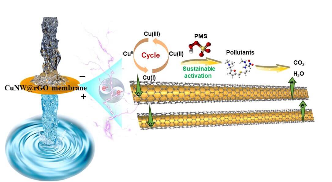 深圳国际研究生院张正华团队在铠甲电催化膜突破催化活性-稳定性的权衡效应领域取得新进展
