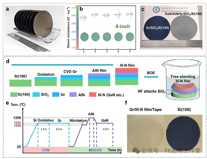 中科院半导体所魏同波研究员，苏州大学孙靖宇教授 Adv.Sci:制造和无裂纹转移晶圆级氮化镓