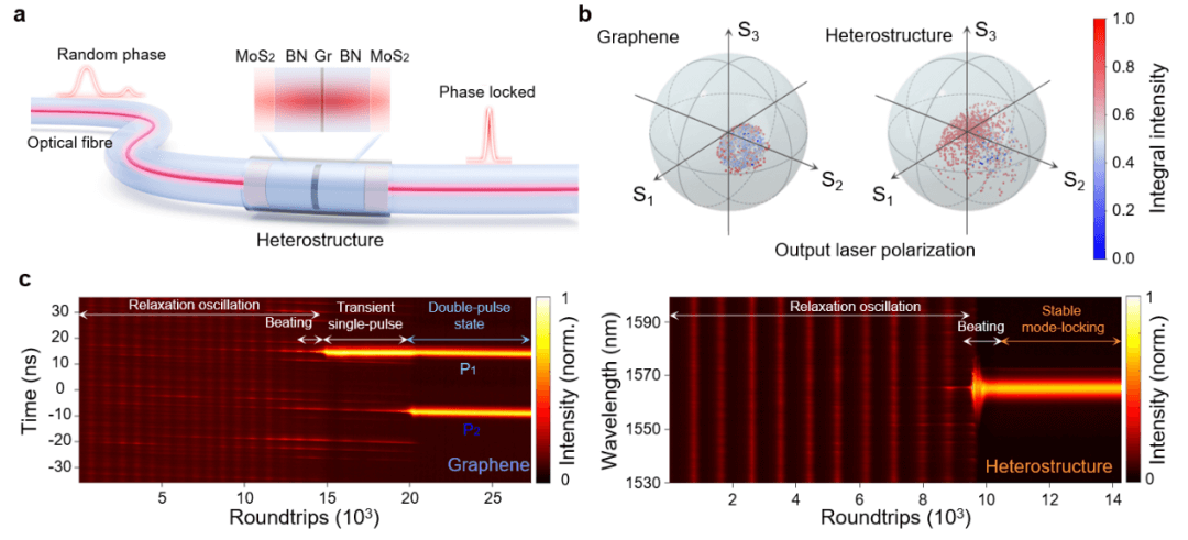 成果 | 刘开辉课题组发现稳健锁模的二维材料异质结可饱和吸收体