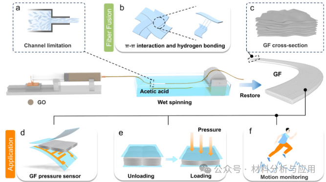 东华大学《JMST》：基于石墨烯纤维的高性能压力传感器，具有双边致密结构，用于人体运动监测
