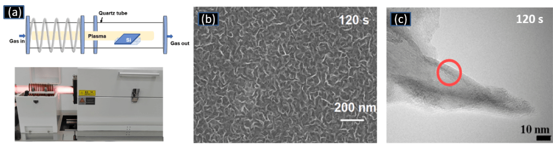 厦门大学程其进副教授团队——高性能石墨烯纳米墙/Si自驱动光电探测器的突破性进展 | MDPI Nanomaterials