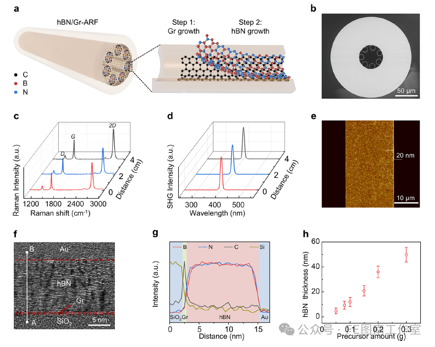 北京大学刘忠范院士，国家杰青刘开辉教授，芬兰阿尔托大学孙志培教授 JACS：垂直堆叠氮化硼/石墨烯异质结构