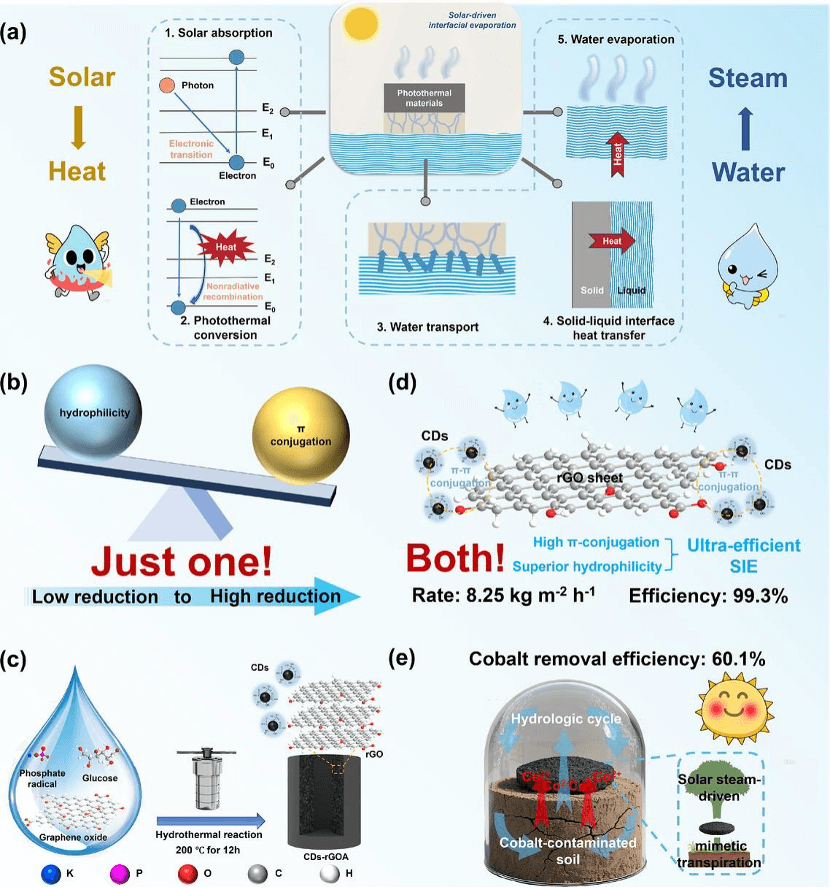 一石二鸟!中山大学吴青芸课题组CEJ:原位碳点合成打破石墨烯“光热桎梏”，实现高效太阳能界面蒸发与土壤重金属修复新应用