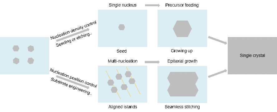 综述 | 二维单晶生长的成核控制