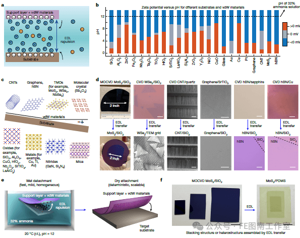 北大才女，麻省理工孔静教授 Nature:基于静电排斥的范德华材料转移技术！！