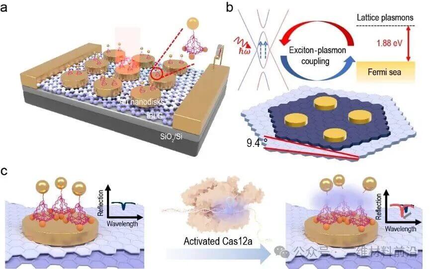 【Nat.Sci.Rev.】基于扭转双层石墨烯超晶格的高性能光子生物传感器