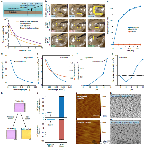 北大才女，麻省理工孔静教授 Nature:基于静电排斥的范德华材料转移技术！！