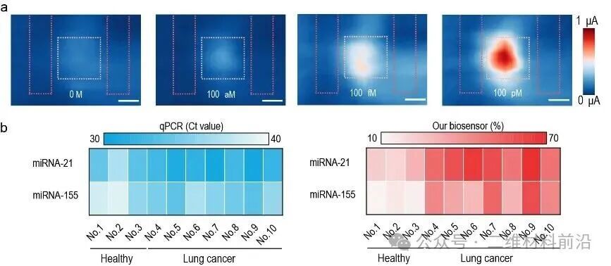 【Nat.Sci.Rev.】基于扭转双层石墨烯超晶格的高性能光子生物传感器