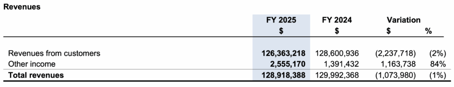NanoXplore公布2025年第四季度及全年业绩
