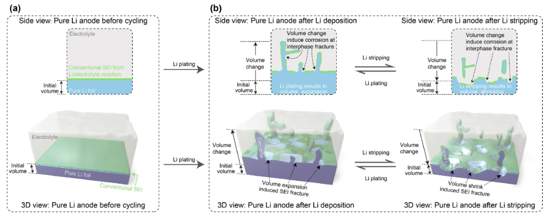 科学通报 | 零形变全封闭石墨烯复合载体设计实现库仑效率≥99.99%的金属锂负极