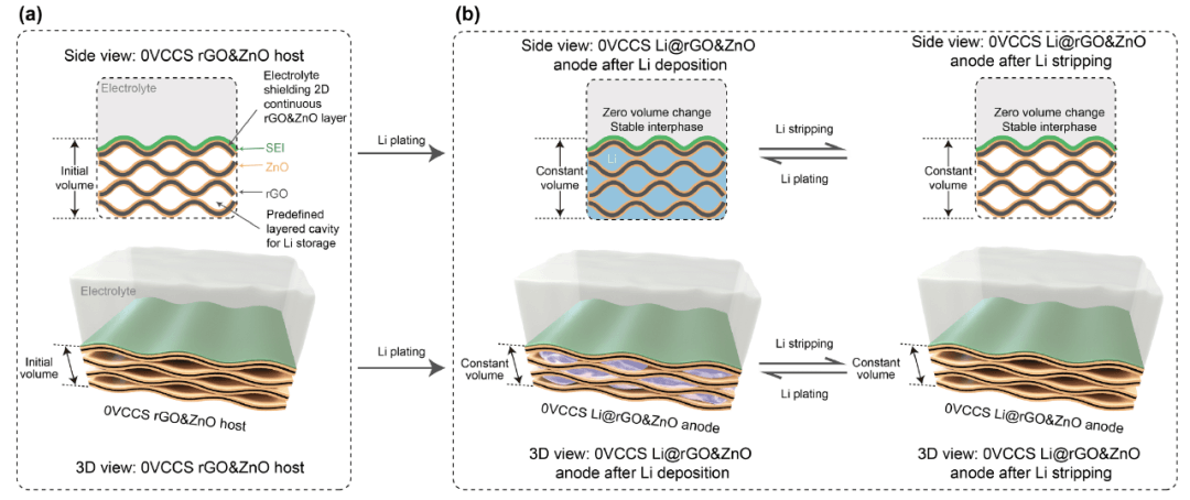 科学通报 | 零形变全封闭石墨烯复合载体设计实现库仑效率≥99.99%的金属锂负极