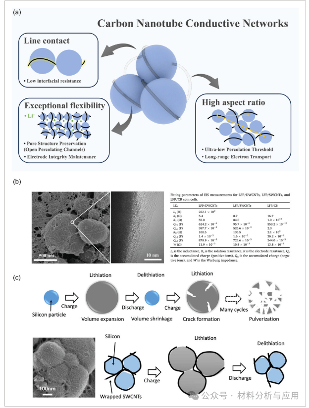 昆理工《CHEMNANOMAT》：综述！超越传统碳：石墨烯和碳纳米管作为锂离子电池的先进导电添加剂——挑战与机遇