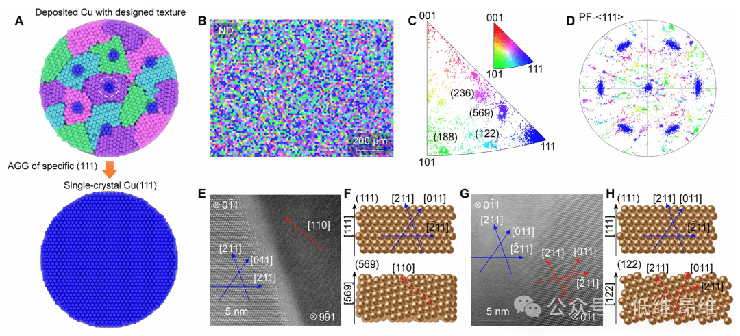 北京大学刘忠范院士团队Sci. Adv.：超平坦6英寸单晶Cu(111)晶圆的织构工程化制备