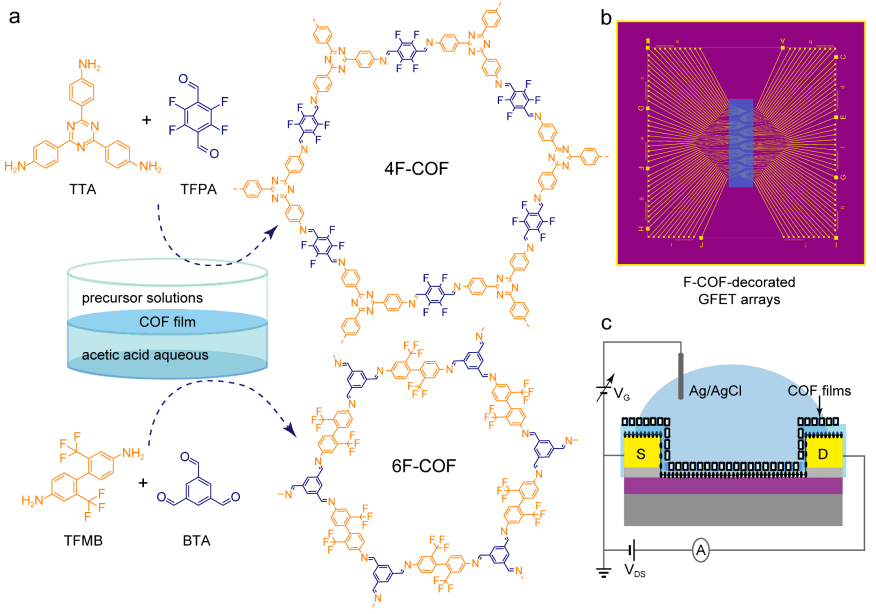 中国地质大学Nano Letters！石墨烯生物传感器穿上“氟衣”：精准筛离子，抗污染能力翻倍