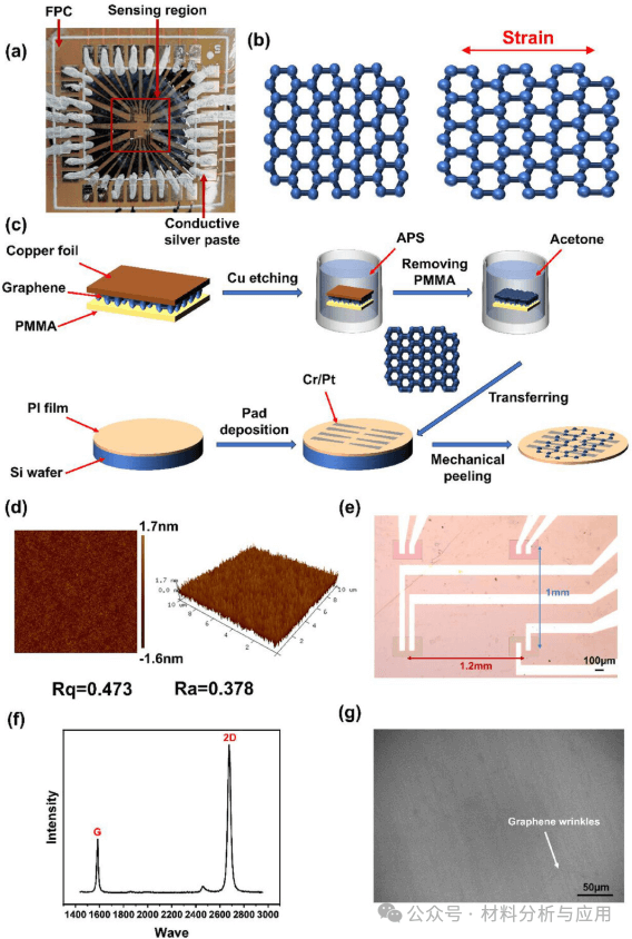 深圳技术大学《ASR》：超薄石墨烯应变传感器阵列，用于毫米级分辨率的高灵敏度多功能传感