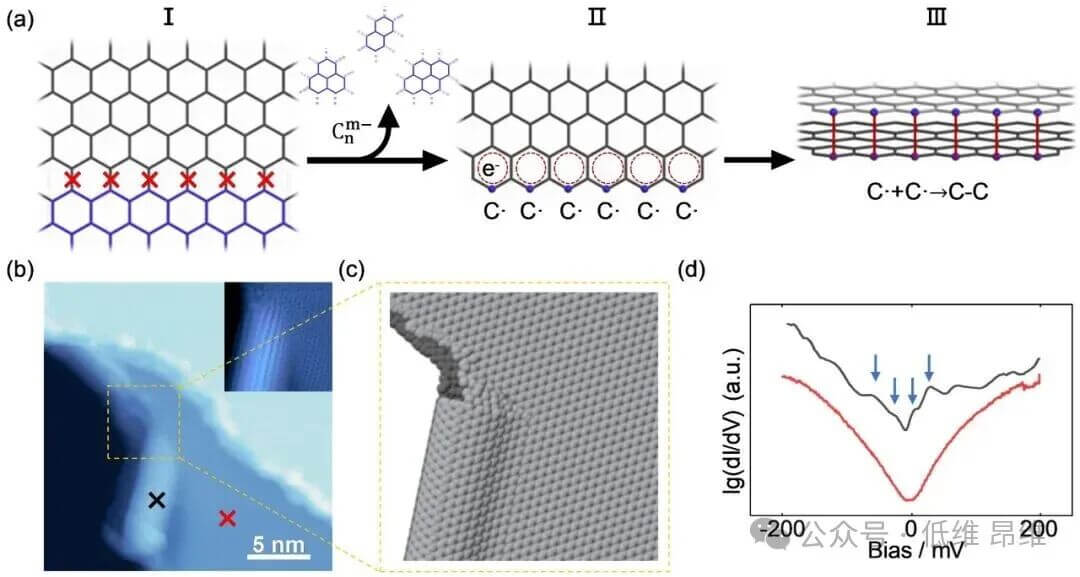 西安交通大学潘毅教授 Nano Lett.：极低温环境双层石墨烯撕裂边缘自发封闭的自缝和机制