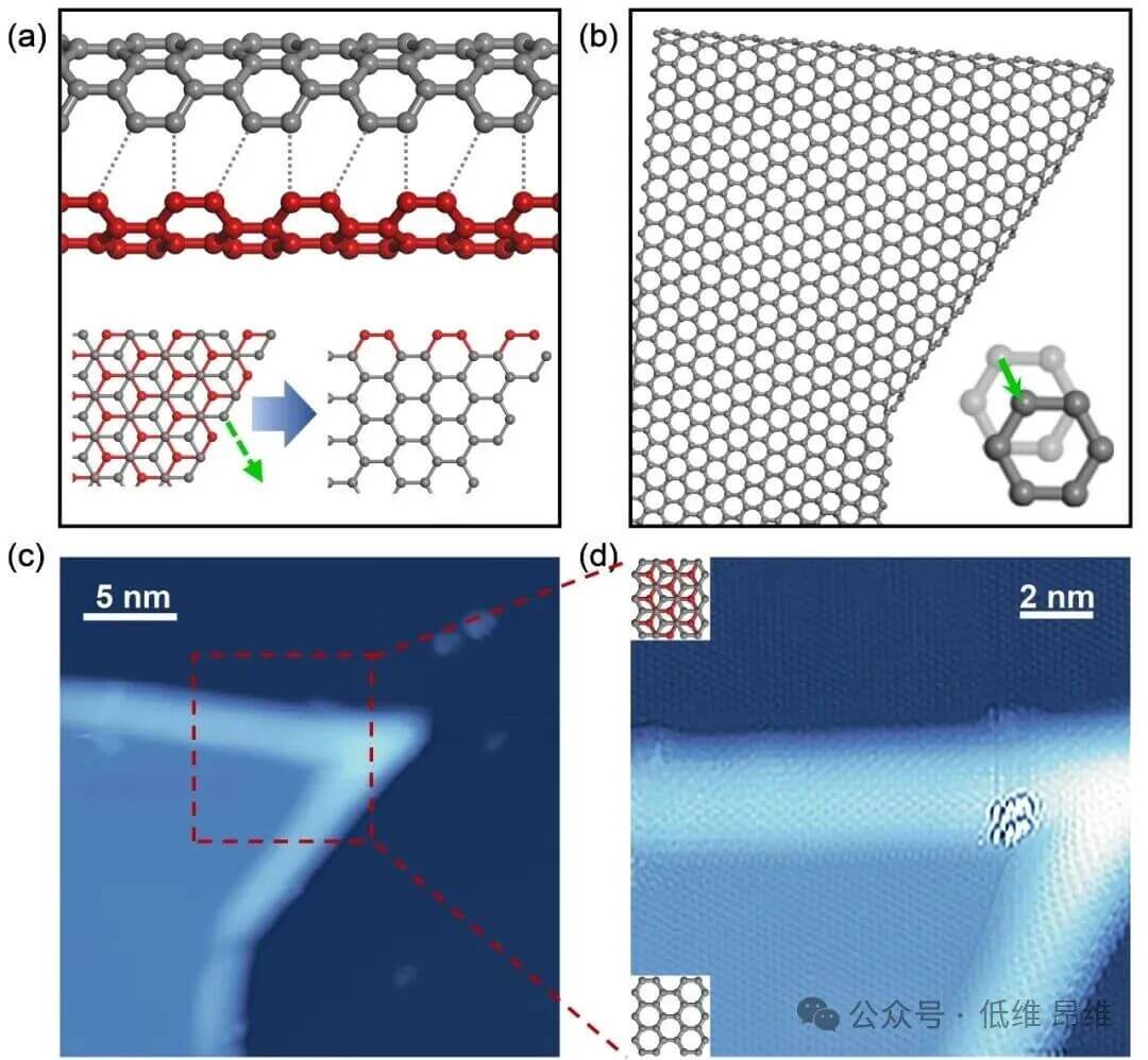 西安交通大学潘毅教授 Nano Lett.：极低温环境双层石墨烯撕裂边缘自发封闭的自缝和机制
