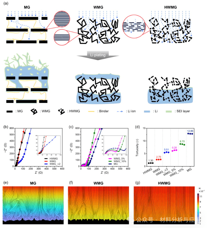 韩国汉阳大学《JCC》：孔状皱纹多层石墨烯支架，用于均匀的锂离子通量，实现高性能锂金属阳极