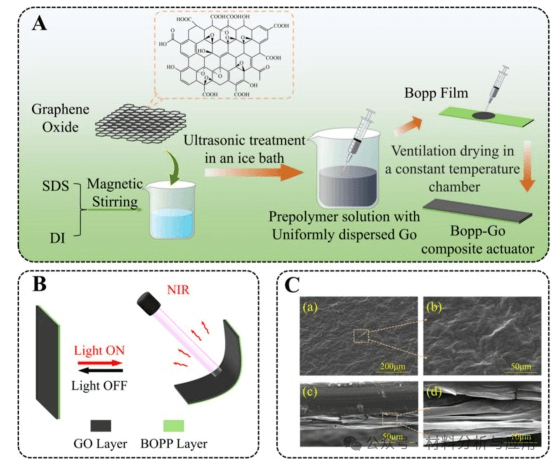 烟台大学《CES》：光热驱动的BOPP/石墨烯双层致动器，用于可编程3D成型和水陆两栖机器人