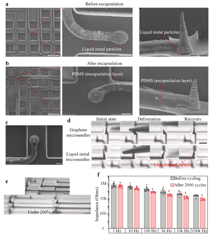 南科大蒋兴宇教授ACS Nano：新型弹性石墨烯微针网状接口实现神经类器官高精度电生理监测