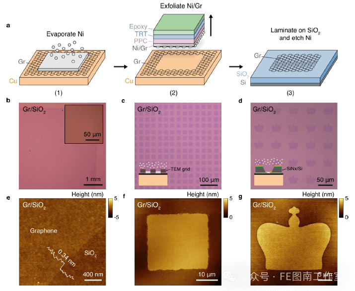 哥伦比亚大学 Nano Lett.: 无损转移高质量化学气相沉积（CVD）石墨烯