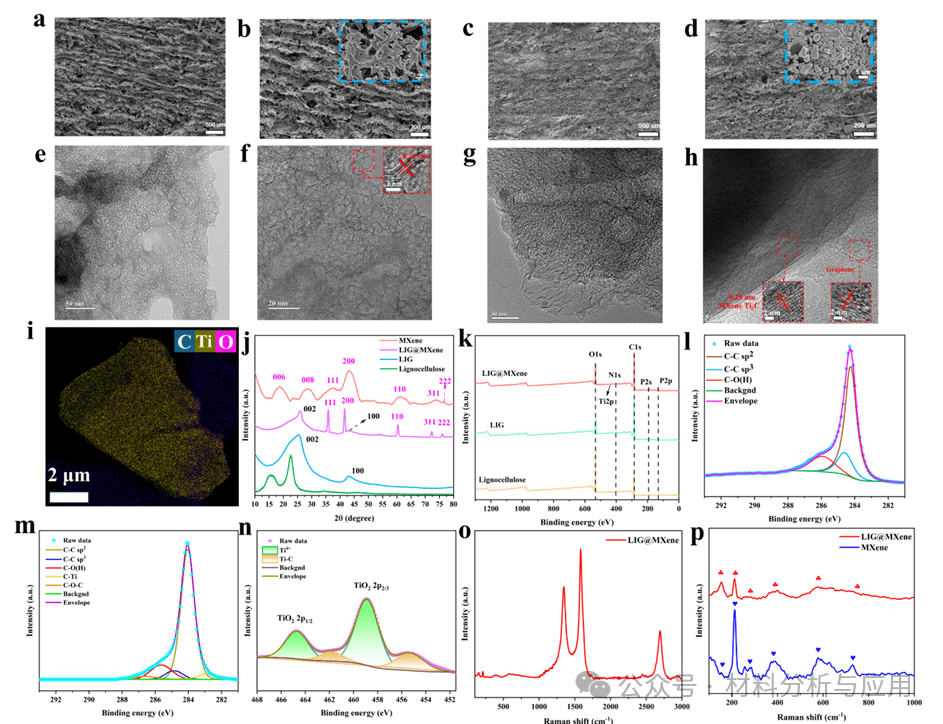 郑州大学《Adv Sci》：激光诱导MXene复合石墨烯基自供能传感器，用于足部健康持续监测