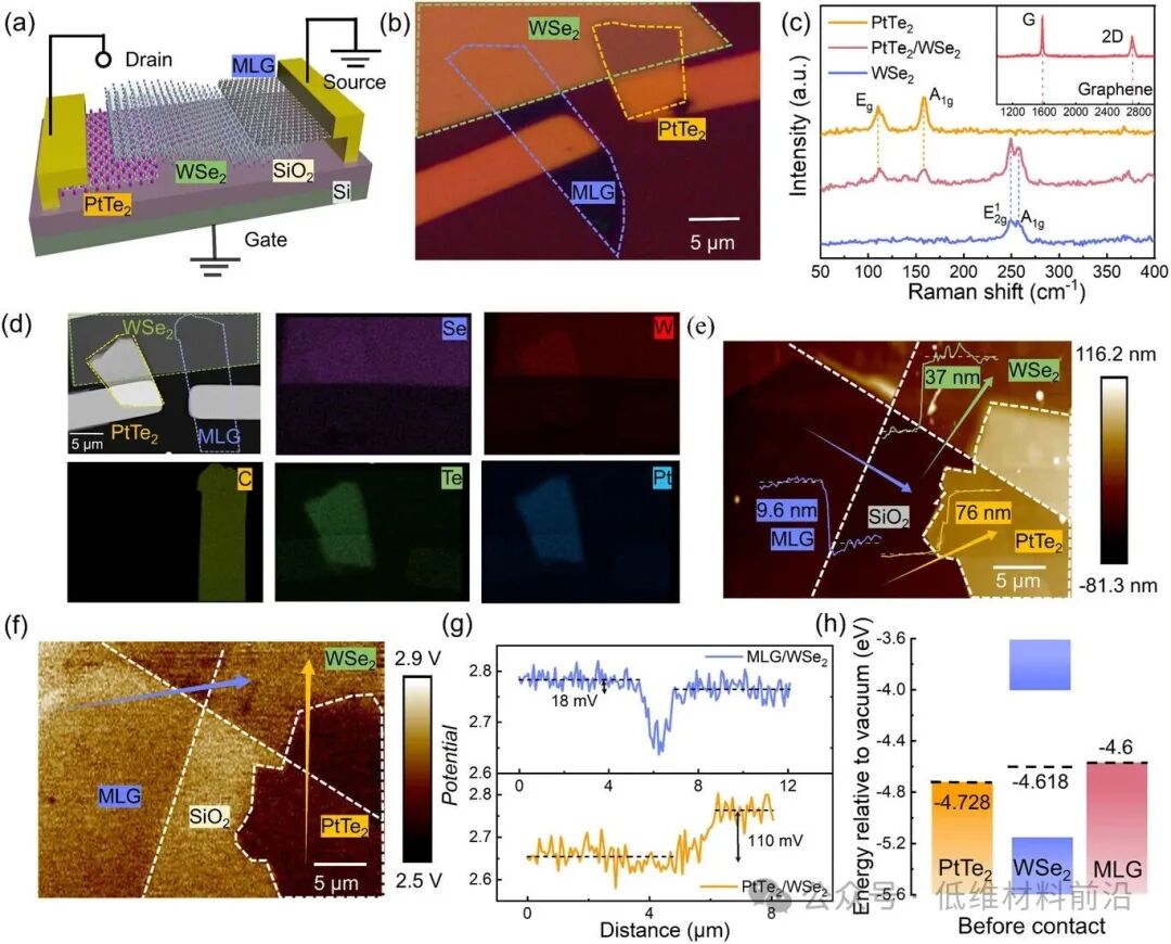 Advanced Optical Materials| 石墨烯集成不对称PtTe₂-WSe₂范德华异质结实现可重构双向光电晶体管