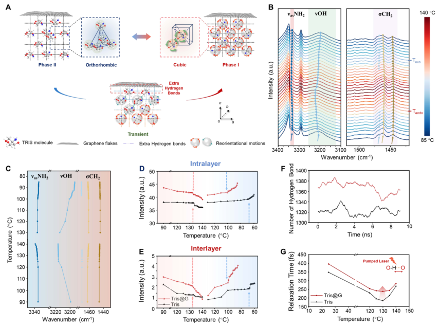 北京大学张锦院士、邵元龙研究员JACS：石墨烯助力塑料晶体突破过冷难题