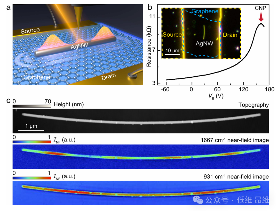 同济大学江涛教授Nano Letters:石墨烯门控调控银纳米线红外极化激元