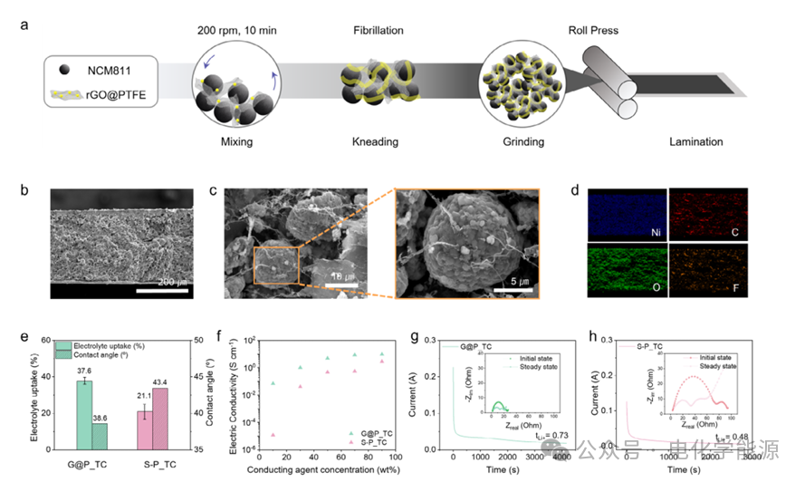 AFM：PPTFE锚定石墨烯：解锁锂金属电池超厚正极的无溶剂制备密码