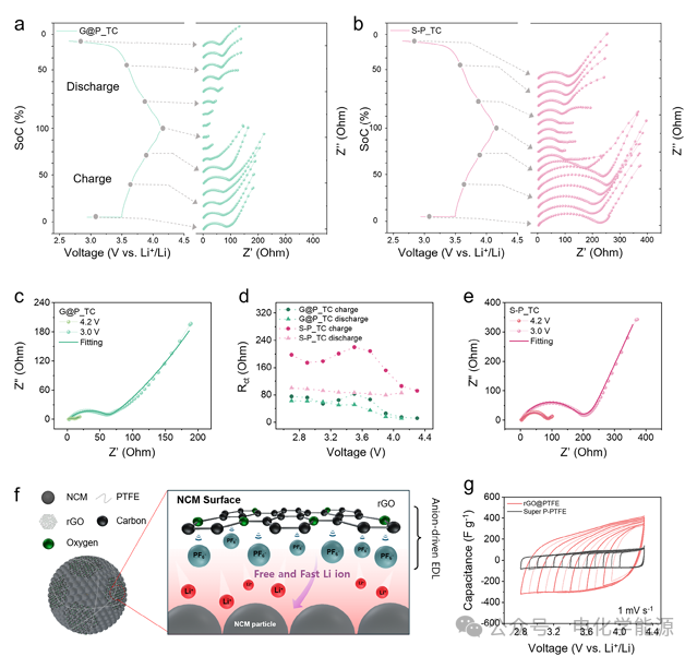 AFM：PPTFE锚定石墨烯：解锁锂金属电池超厚正极的无溶剂制备密码