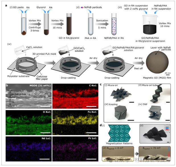 麦吉尔大学《Adv Sci》：多功能可重编程磁性石墨烯折纸，用于下一代智能软机器