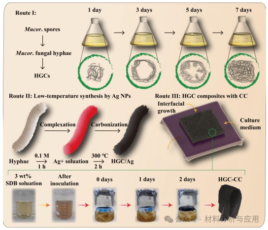 上海交大《CEJ》：可扩展绿色等离子体石墨烯复合材料，用于界面太阳能蒸汽发生