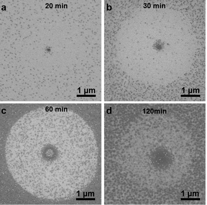 Nano Res.[碳]│中国科学院金属所任文才/马来鹏团队：水珠模板洁净生长石墨烯微米筛，打造高灵敏度NO₂传感器