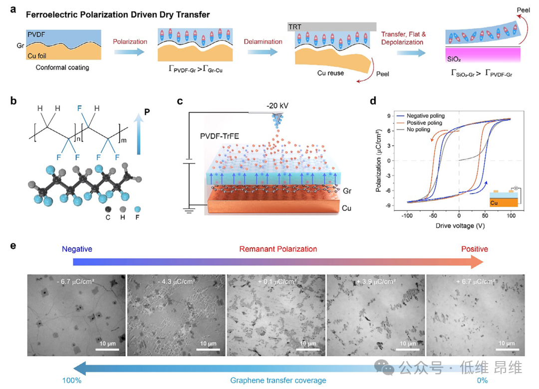 新加坡国立大学Adv. Mater.： 利用粘附可切换铁电聚合物干法转移CVD石墨烯薄膜