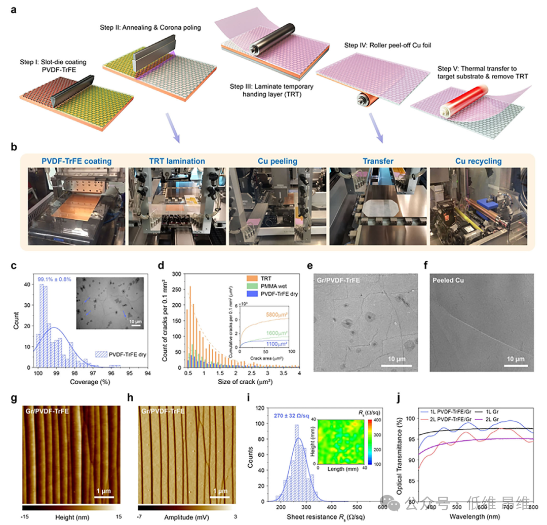 新加坡国立大学Adv. Mater.： 利用粘附可切换铁电聚合物干法转移CVD石墨烯薄膜