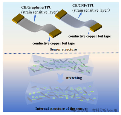 中国计量学院《ChemistrySelect》：基于炭黑/石墨烯/CNF/TPU的多孔薄膜，用于手写识别的柔性电阻应变传感器