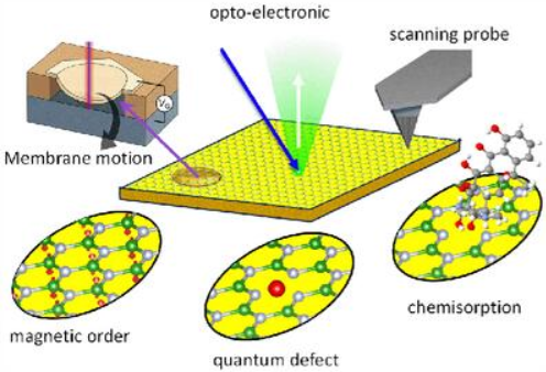 新加坡国立大学，二维材料作为多属性传感平台！Advanced Functional Materials