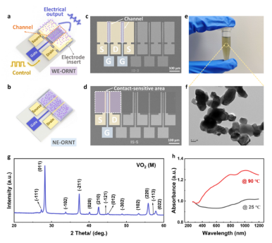 北京交通大学邓涛团队AS：基于石墨烯/VO₂异质结的新型光电可重构晶体管，用于高效的神经形态感知、计算和存储