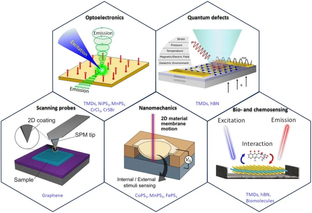 AFM：二维材料作为多属性传感平台