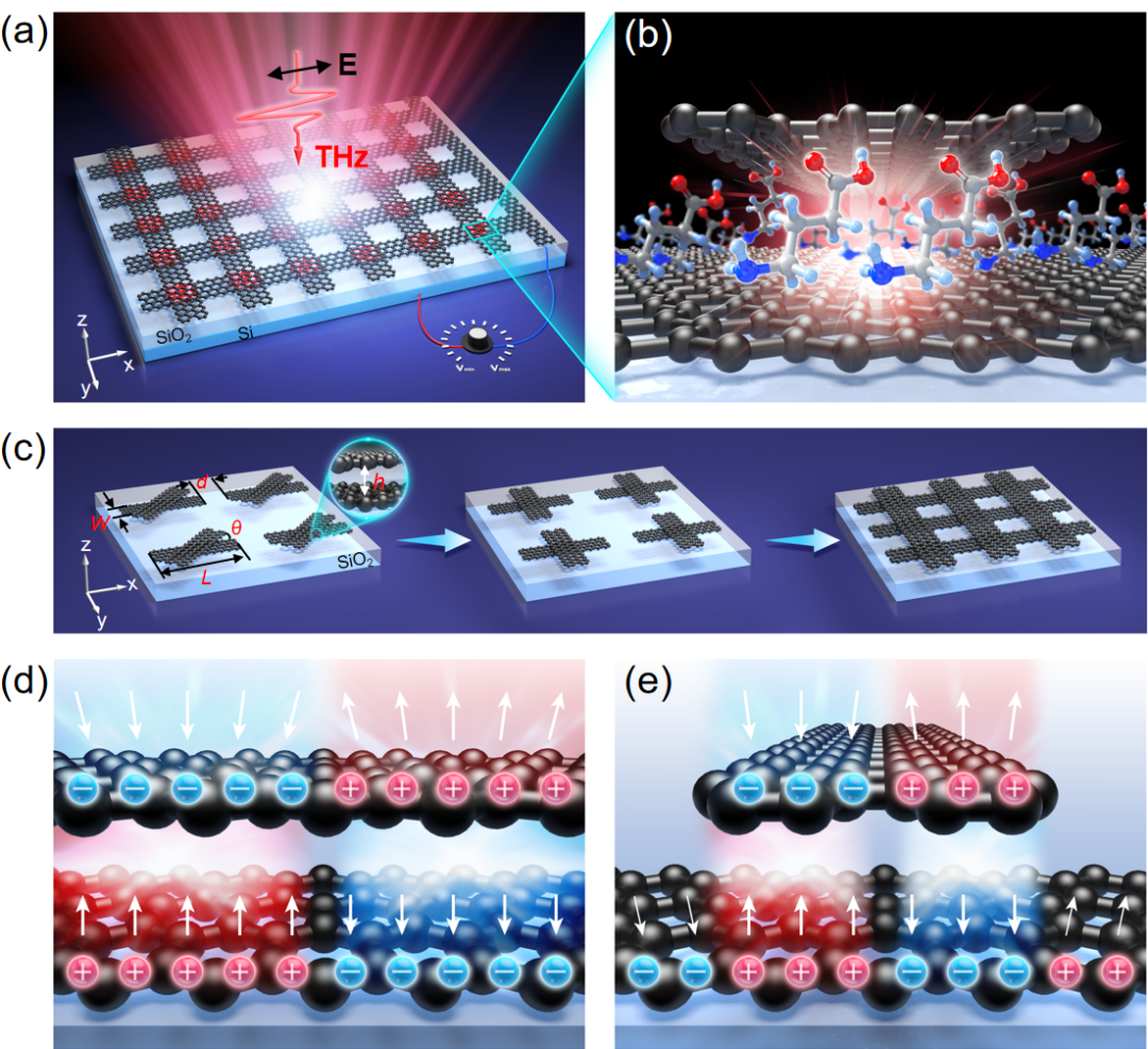 上理工太赫兹团队：给THz波装上“火眼金睛”：石墨烯等离激元腔实现THz超灵敏检测