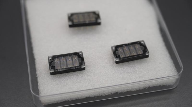 浪潮解码丨比狗鼻子更灵敏！智能嗅觉传感让气味有了“数字指纹”